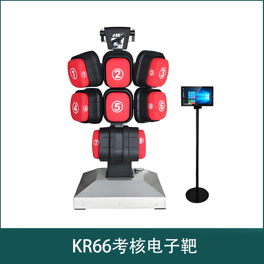 KR66Assessment of electronic targets