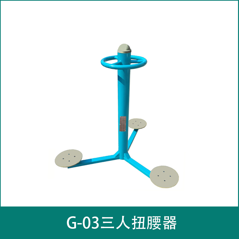 G-03Three person waist twisting device