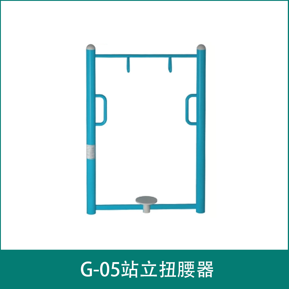 G-05Standing waist twisting device