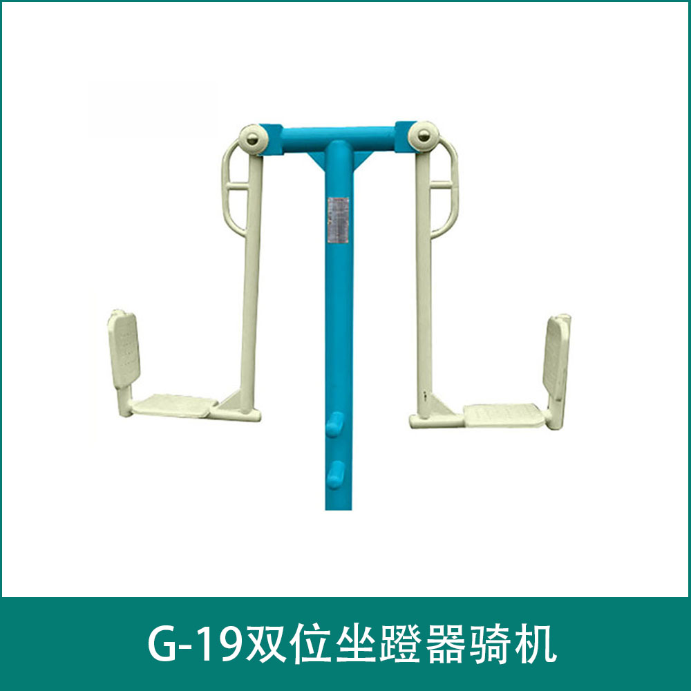 G-19Dual seat pedaling device