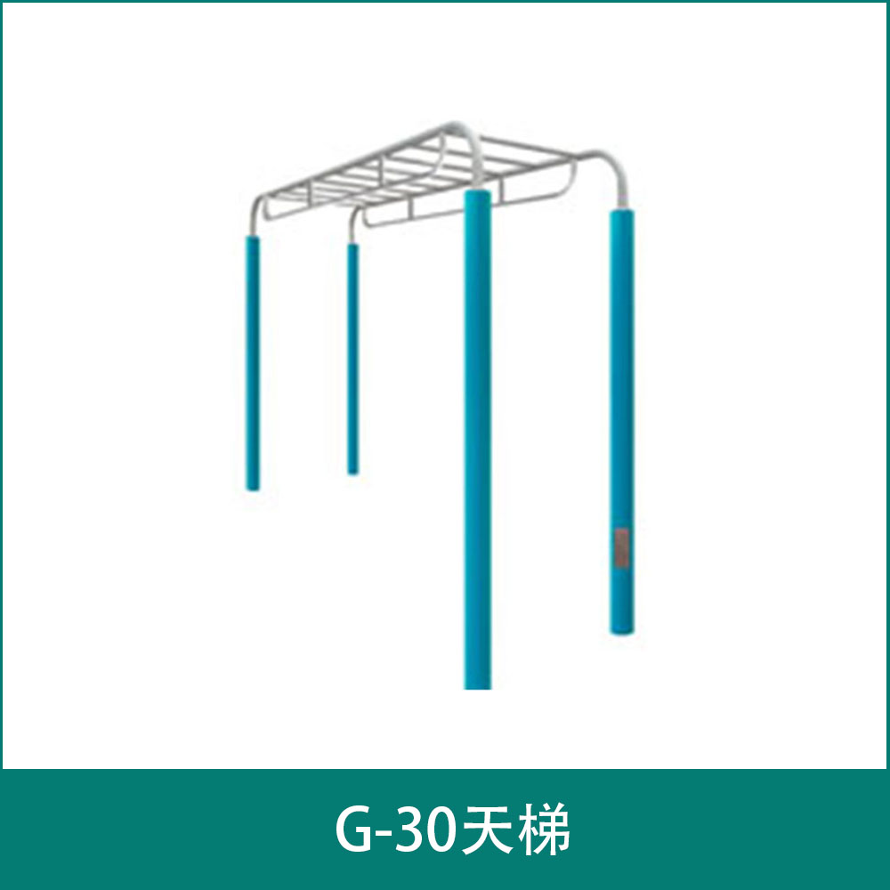 G-30ladder on high buildings