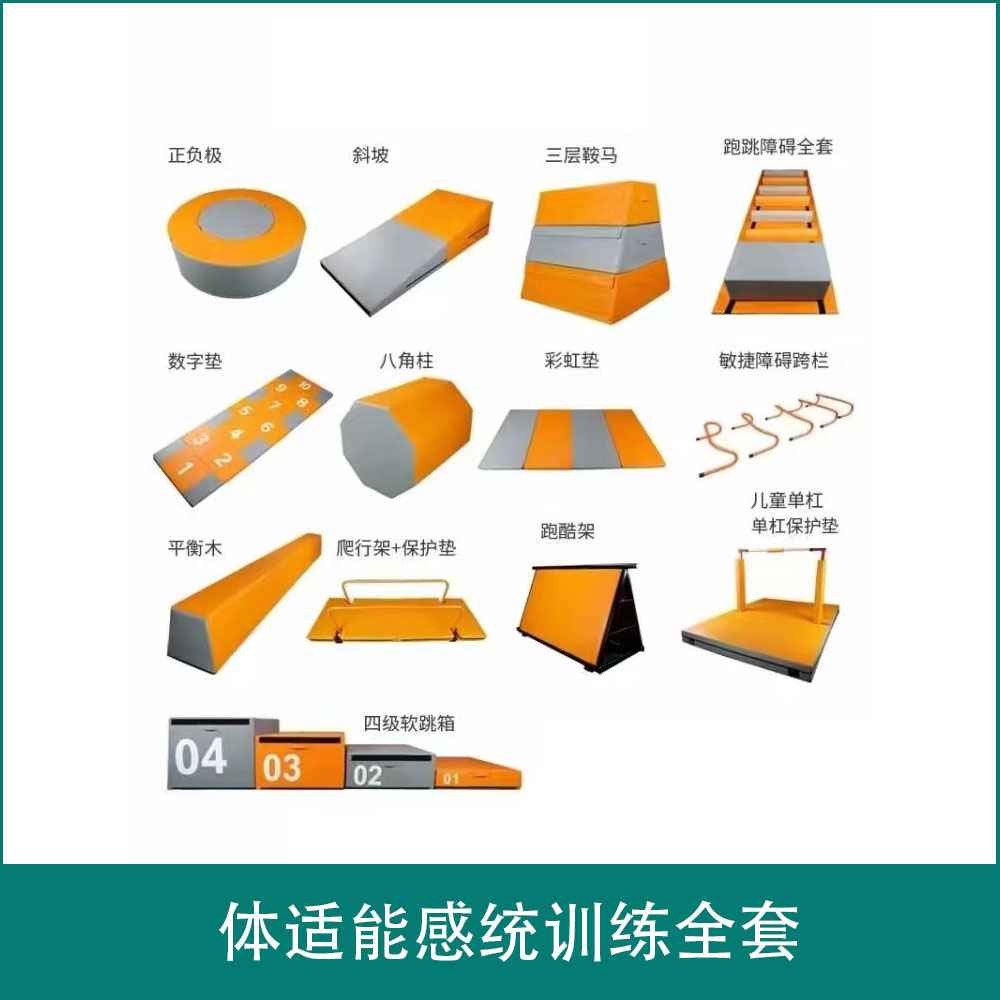 体适能感统训练全套