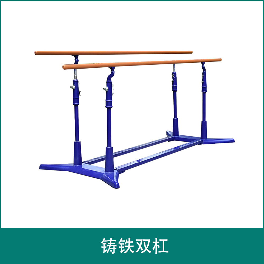 Cast iron double bars