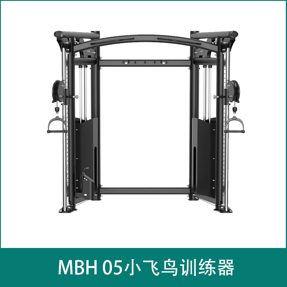 MBH 05Little Bird Trainer