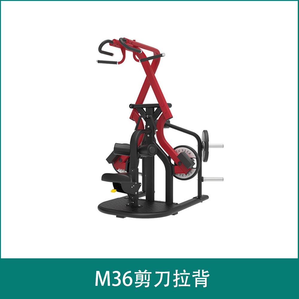 M36剪刀拉背