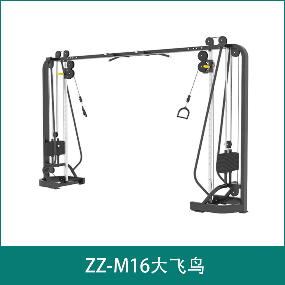 ZZ-M16大飞鸟