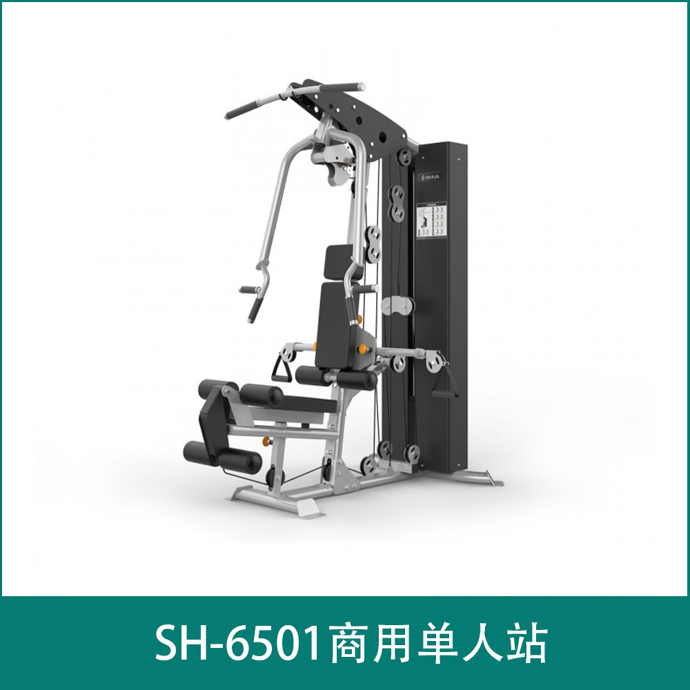 SH-6501Commercial single person station