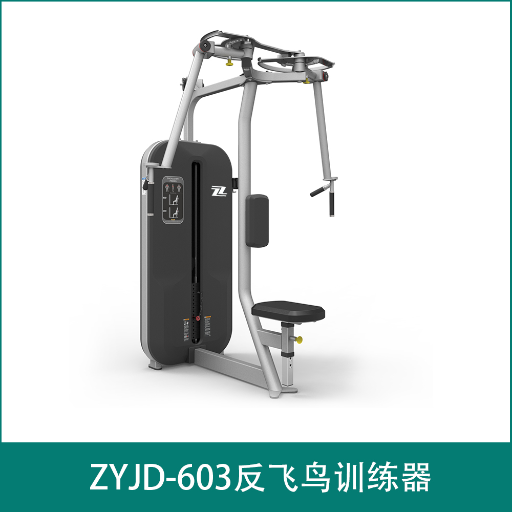 ZYJD-603Anti flying bird trainer