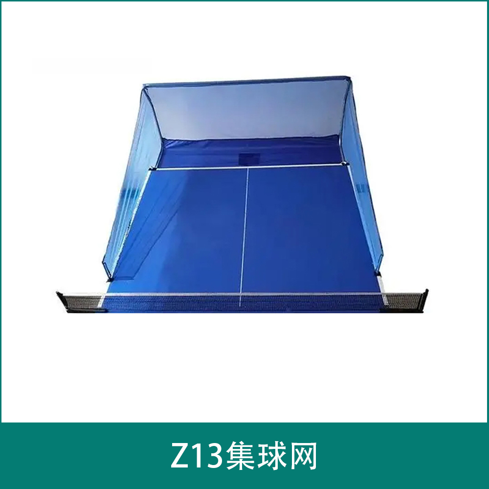 Z13集球网