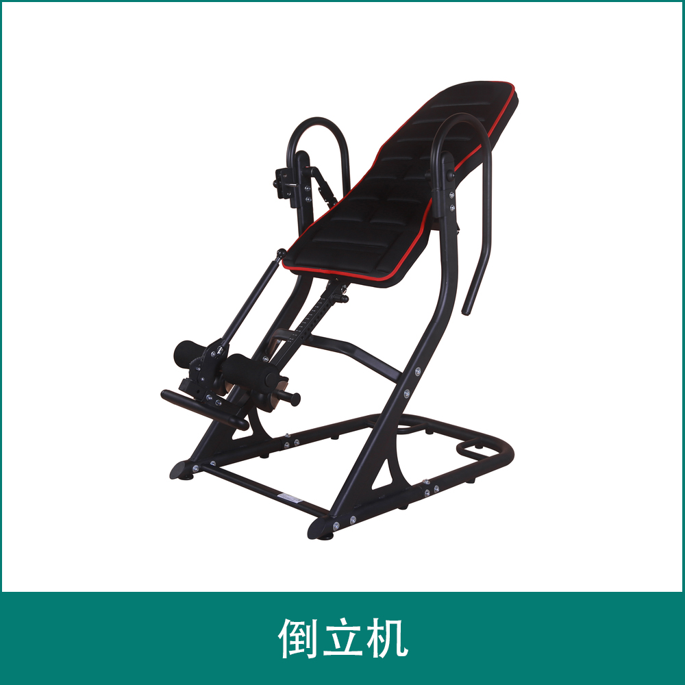 倒立机MS360