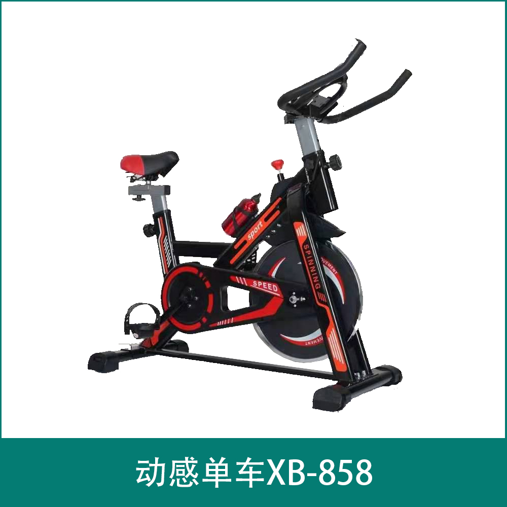 Dynamic Bike XB-858