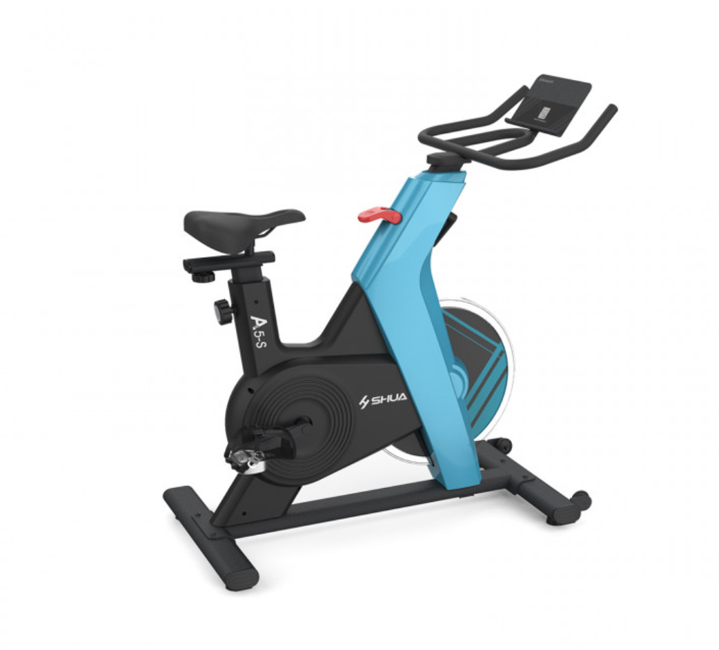 SH599Dynamic Bike